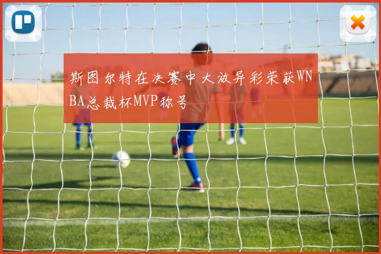 斯图尔特在决赛中大放异彩荣获WNBA总裁杯MVP称号