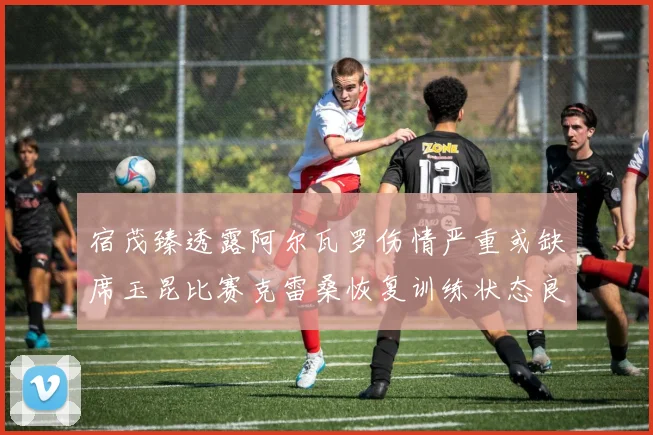 宿茂臻透露阿尔瓦罗伤情严重或缺席玉昆比赛克雷桑恢复训练状态良好