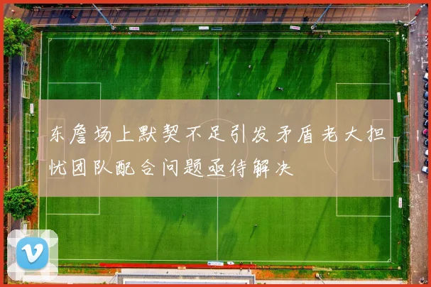 东詹场上默契不足引发矛盾老大担忧团队配合问题亟待解决